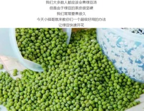 红小豆苗前使用乙草胺的风险
