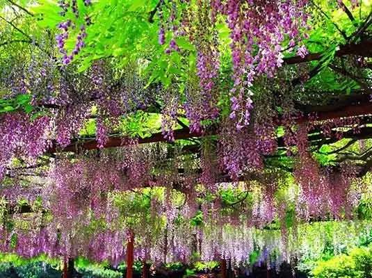 岁月荏苒，物是人非