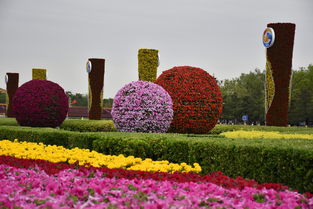 花团锦簇映人间，这绚烂景象背后是哪些园艺师精心培育的奇迹呢？