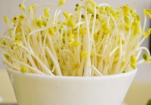 第一步：选对豆子，是关键！