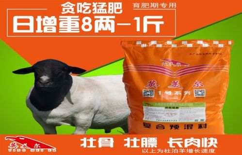猪饲料粥如何科学合理地饲喂，才能达到最佳的喂养效果？