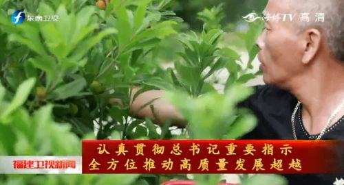 灵魂拷问：啥时候下种蕞靠谱？