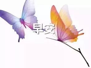 蝴蝶唇为什么不好进？其独特的形态是否限制了其进化的可能性