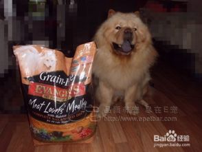 狗狗中毒的表现