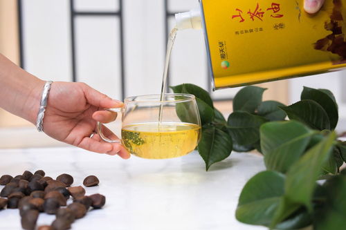 揭秘！山茶油炒菜为何会起泡沫并伴有刺鼻异味？