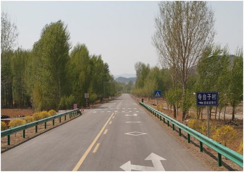 高速公路中间绿化带植物的作用