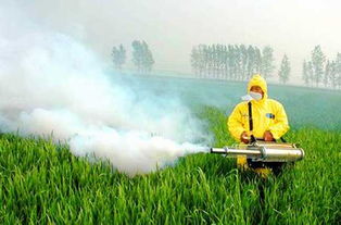 阴天打农药的小技巧