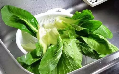 青菜：家常必备