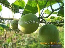 罗汉果一斤多少钱？这篇文章为你揭晓