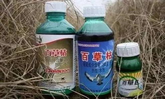 草甘膦，你了解吗？