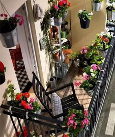 新手常犯的误区