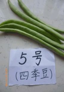 去除农药残留， 七个实用方法