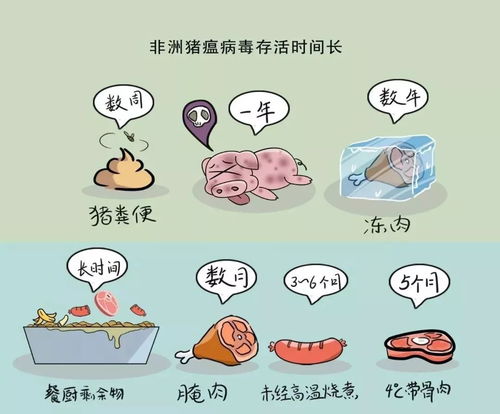 非瘟防控，散户养殖十要点