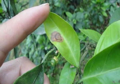 环境也得注意，别让病从口入