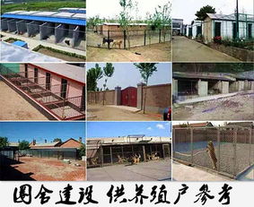 中小养殖场问题：设施简陋、技术落后；对策