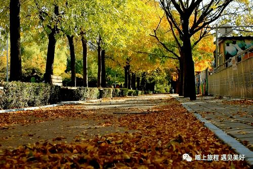 上周末我带着这个表格去朝阳公园实战， 出三个超实用技巧：