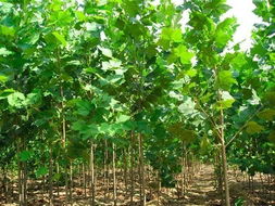 每平方，怎么算