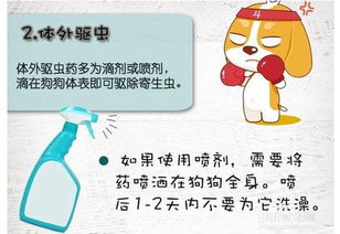 乱扯一气，没有逻辑