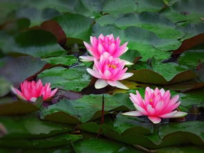 是不是该找专家帮忙了？