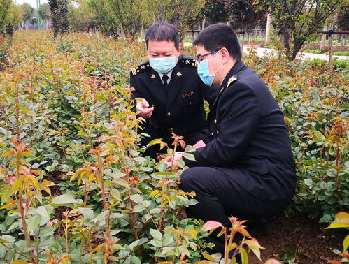 破壁垒，优化通关再加速