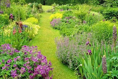 山东庭院种植指南：耐寒草本， 亩产8吨，化肥省3000元