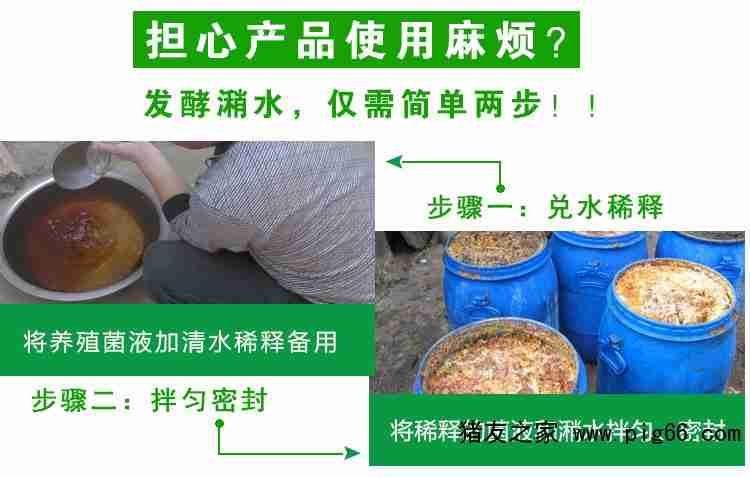 泔水发酵后作为饲料喂猪，长期使用会有哪些潜在健康风险？