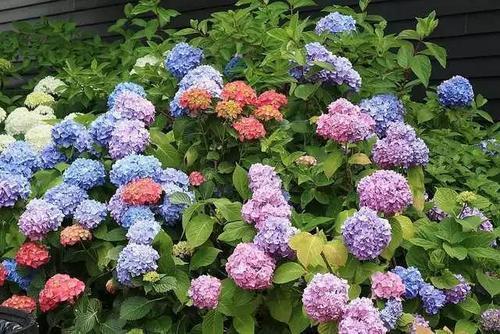 施肥时间要讲究