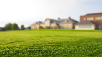 草坪养护那些事儿：单播、 混播、交播、追播大揭秘