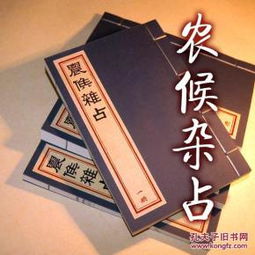 古法提炼茶油：探索传统工艺下的致富秘诀