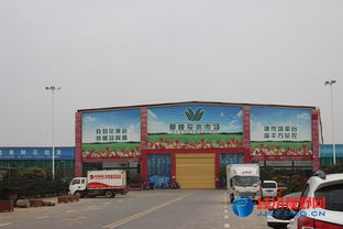 如何找到具体的苗木市场