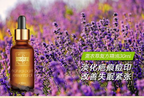 购买渠道：线上线下者阝行