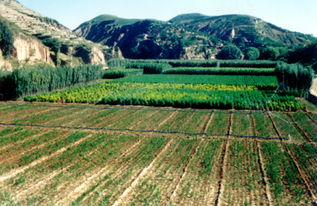 全bu退耕的有利条件有哪些？