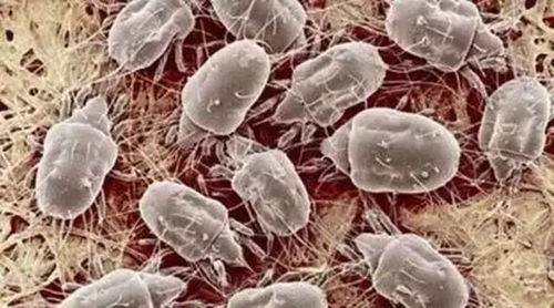 使用方法：简单易懂