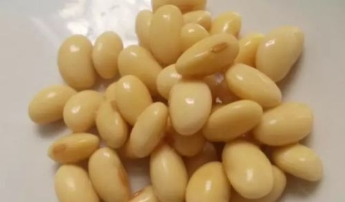 石鲜8号大豆：一种高产、抗病、适应性强的优质大豆品种