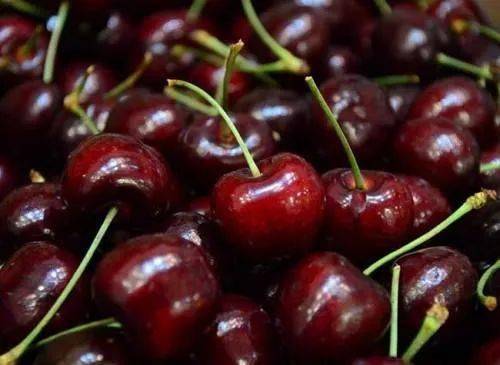 大樱桃保鲜技巧：高效贮藏，保持新鲜美味