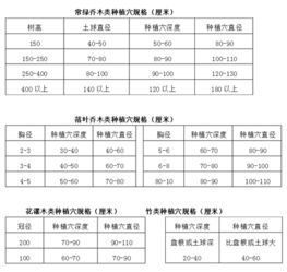 苗木移栽定额价格表揭秘