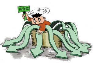 种子价格大揭秘