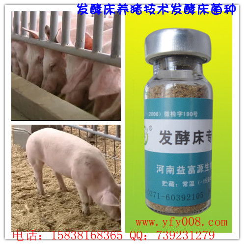 猪舍建设与发酵床养殖关键技术