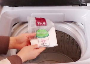 定期清洗，内胆干净又卫生