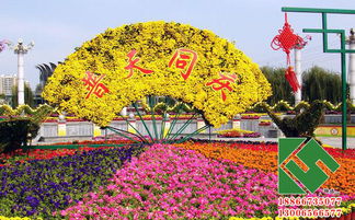 潍坊市花卉市场品种大揭秘