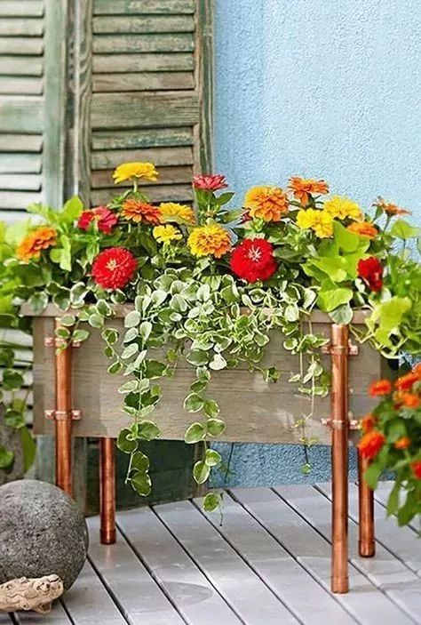 打造四季如春的梦幻花园