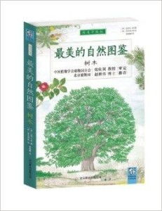 优秀的植物图鉴绘画还格外注重生态情境的暗示