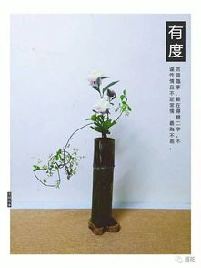 花中君子是什么？一篇文章带你了解它的含义