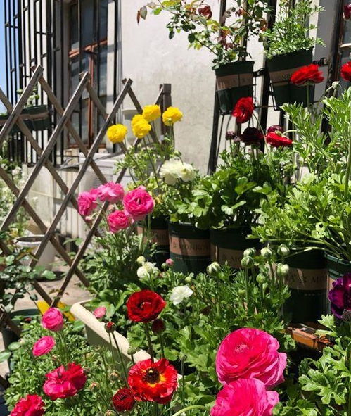 种植技巧，你掌握了吗？