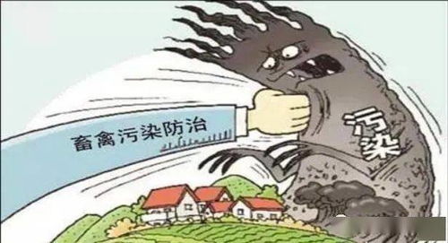 猪场7S管理Zuo不好，是哪些坑在拖垮我的养殖效益？