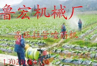 浩阳小区园林绿化手推式气雾杀虫喷药机：小巧玲珑， 灵活多变