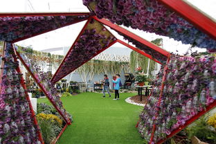 银川花博会场馆探秘：特色展馆大盘点