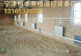 地下调温系统打造猪舍恒温环境，创新养殖技术
