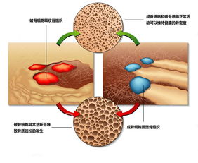 正常使用下的清香木