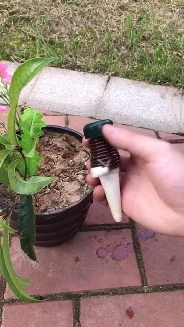 花不枯萎，长生之谜